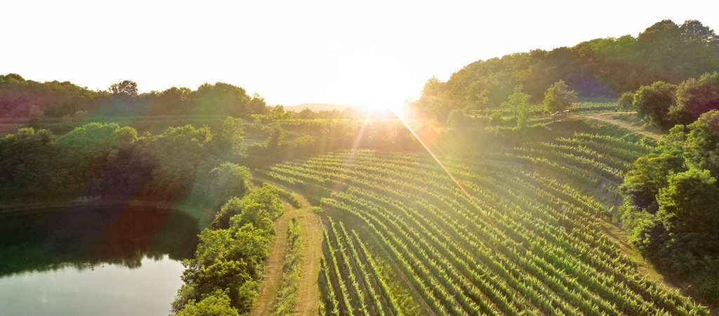 アテムス 日本リカー株式会社