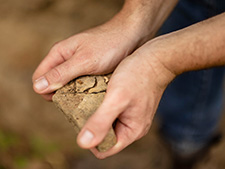 アテムス 日本リカー株式会社