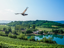 アテムス 日本リカー株式会社