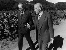 テヌータ・ルーチェ |日本リカー株式会社 テヌータ・ルーチェ |日本リカー株式会社