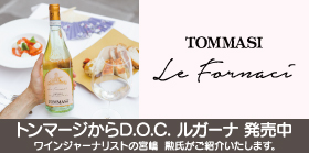 TOMMASI アマローネ 750ml Tommasi Amarone della Valpolicella Classico 2019